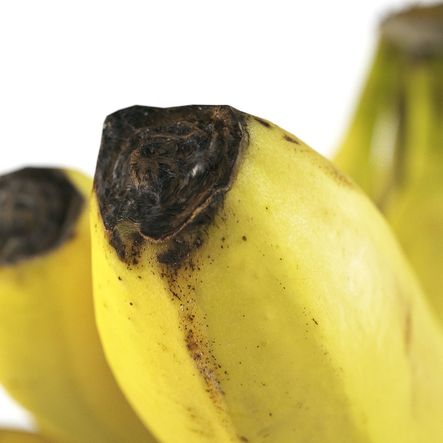 4k bunch of bananas 3D model_8