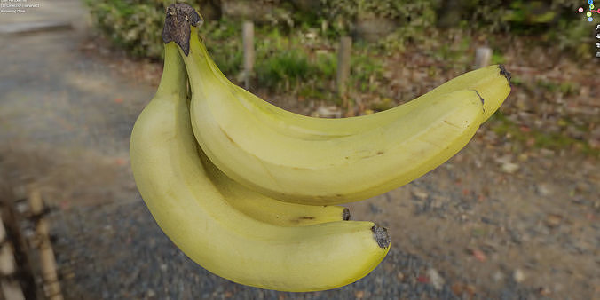 4k bunch of bananas 3D model 3