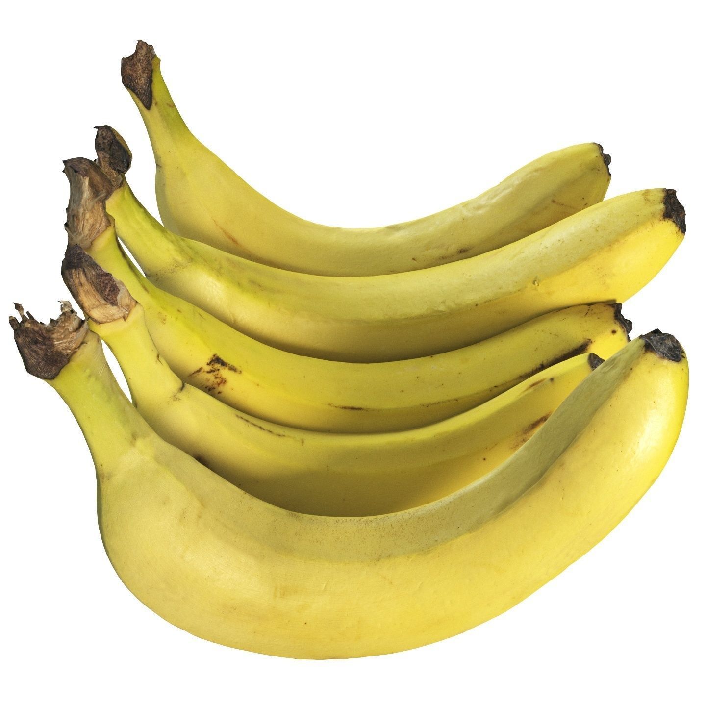 4k bunch of bananas 3D model_2