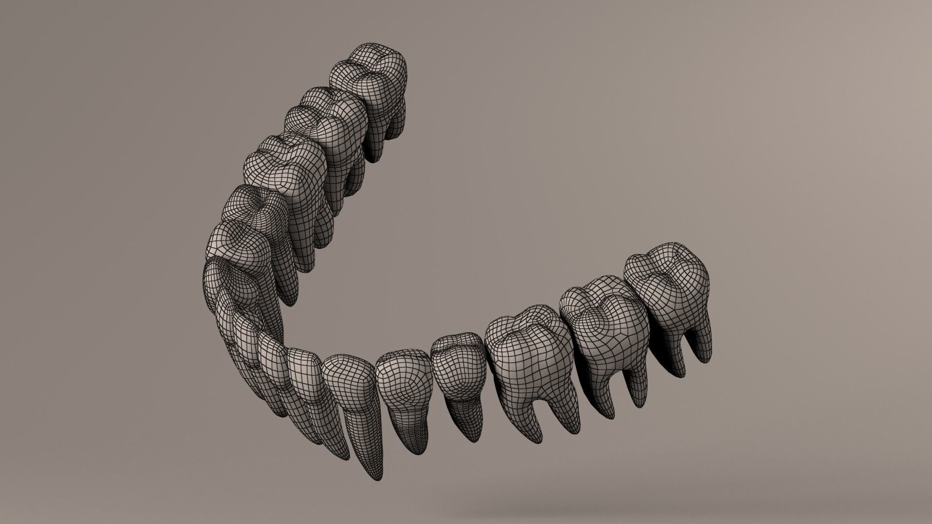 Lower Jaw with Lower Teeth model Low-poly 3D model_26