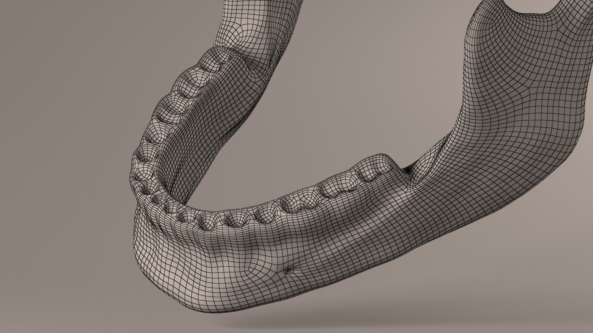 Lower Jaw with Lower Teeth model Low-poly 3D model_25