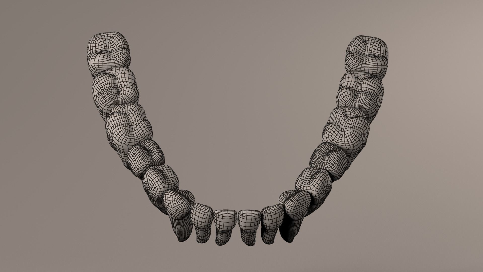 Lower Jaw with Lower Teeth model Low-poly 3D model_28