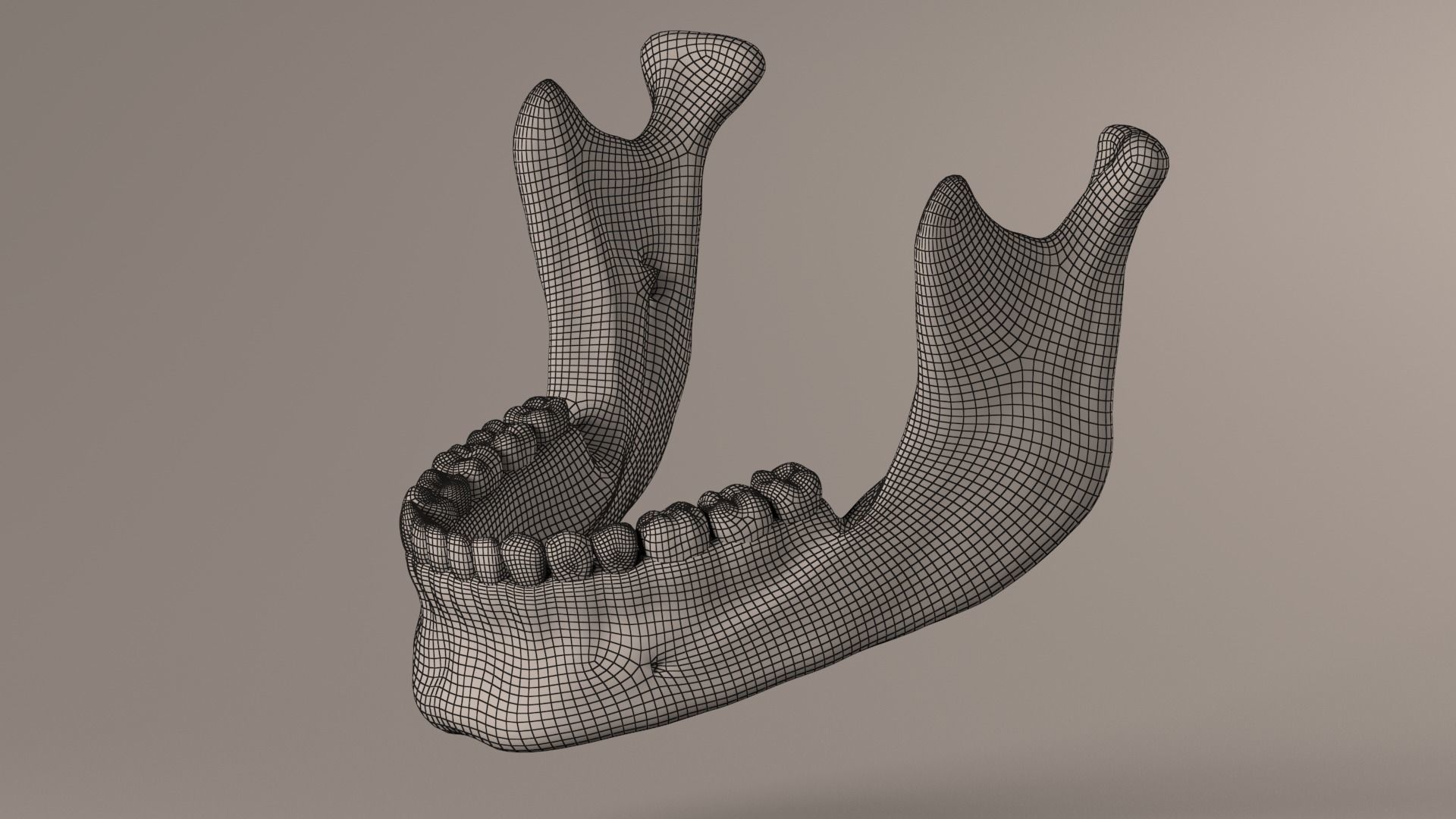 Lower Jaw with Lower Teeth model Low-poly 3D model_24