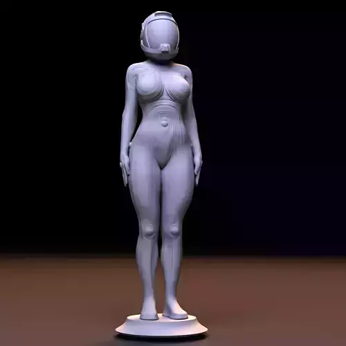 Space Force 3D print model