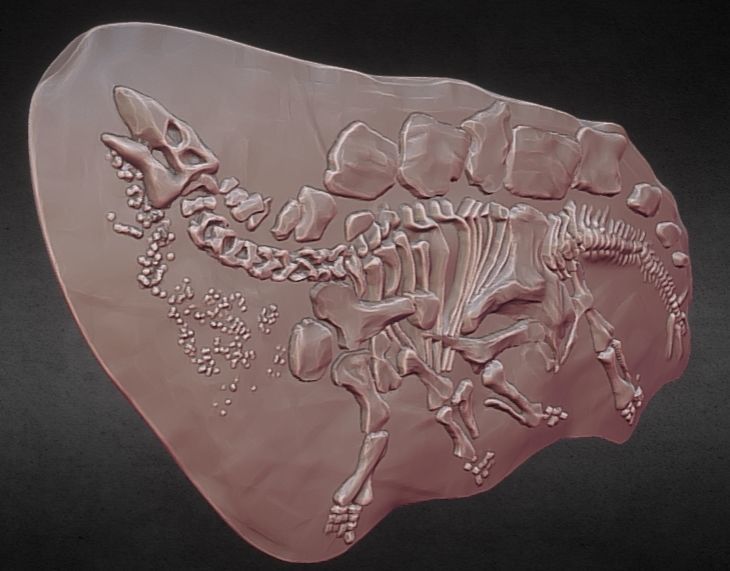 Stegosaurus Fossil Rock - 3D Skeleton of Stegosaurus Dinosaur 3D print model_2