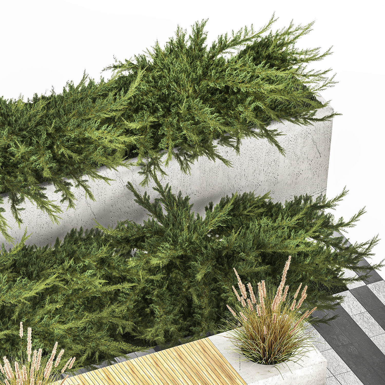 Cypress And Juniper With A Bench For An Park 1167 3D model_4
