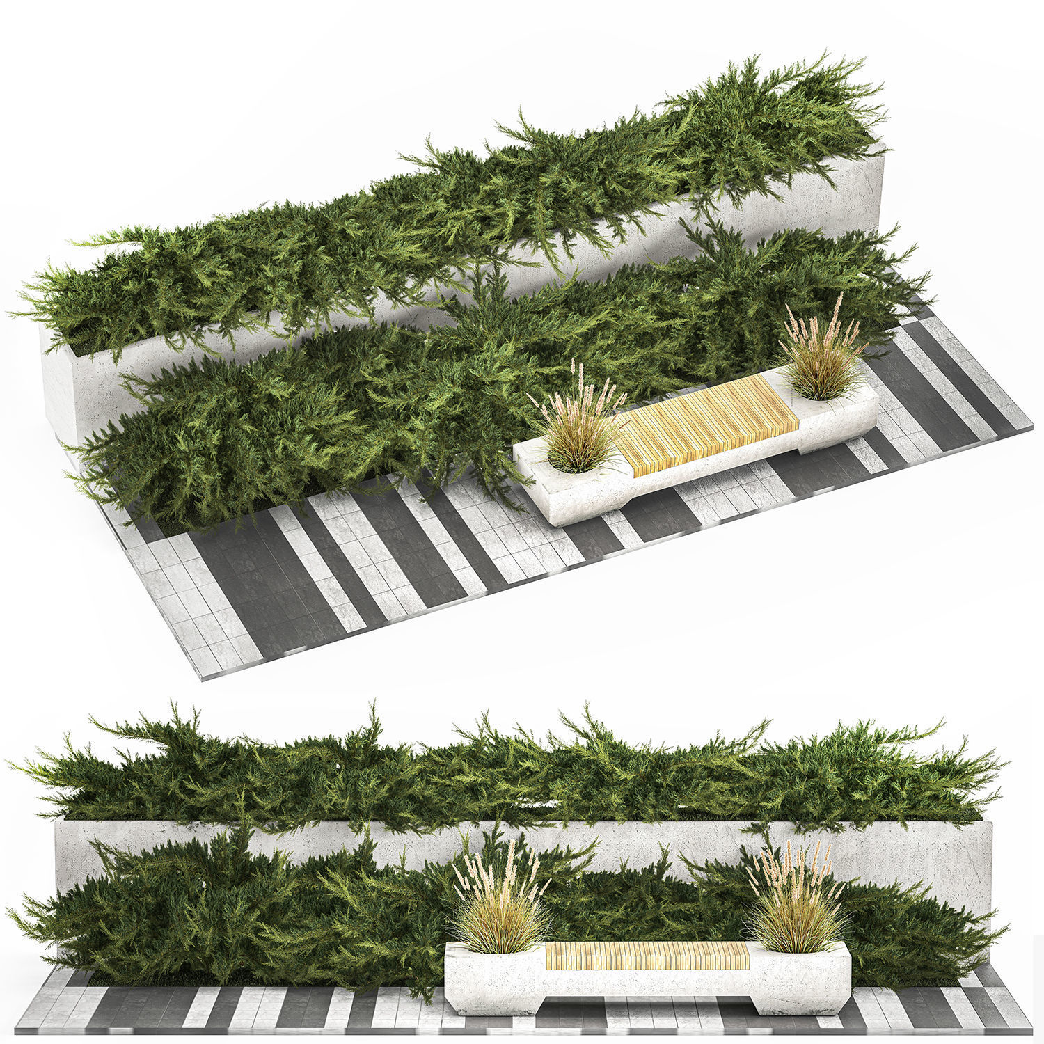 Cypress And Juniper With A Bench For An Park 1167 3D model_9