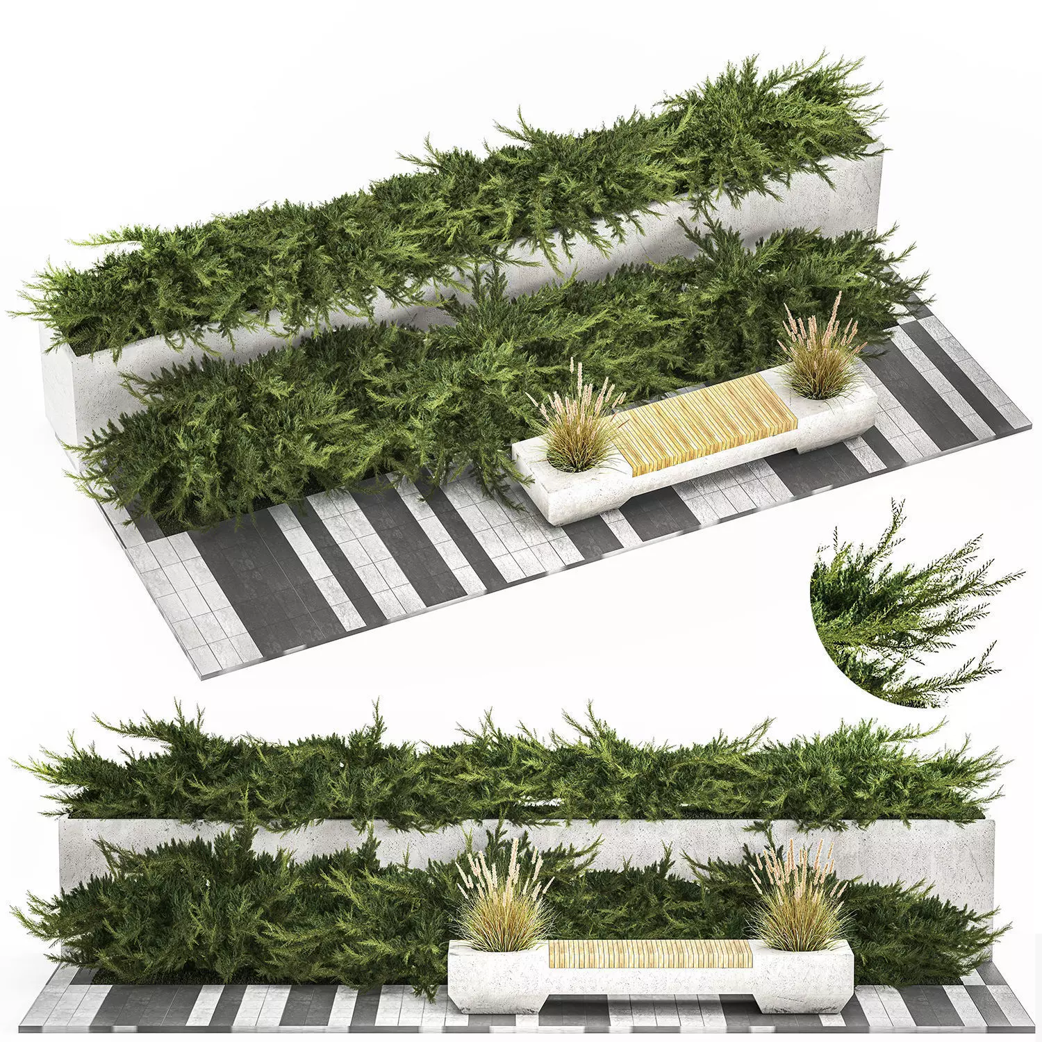 Cypress And Juniper With A Bench For An Park 1167 3D model_0