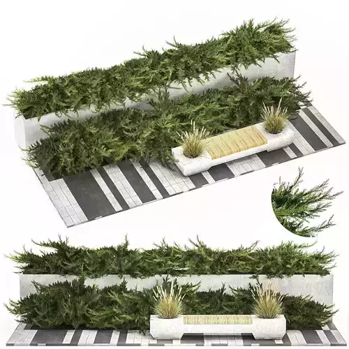 Cypress And Juniper With A Bench For An Park 1167 3D model