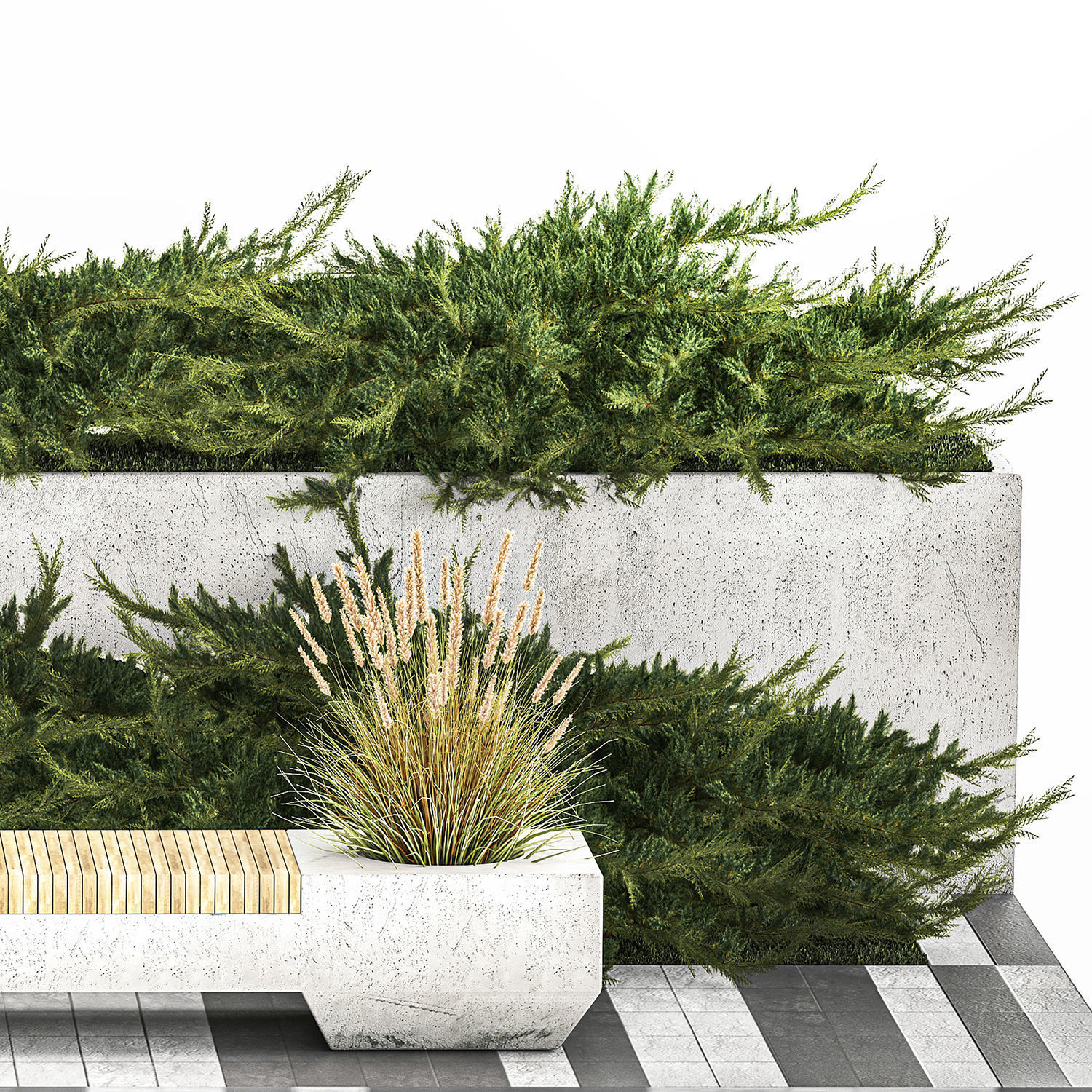 Cypress And Juniper With A Bench For An Park 1167 3D model_7