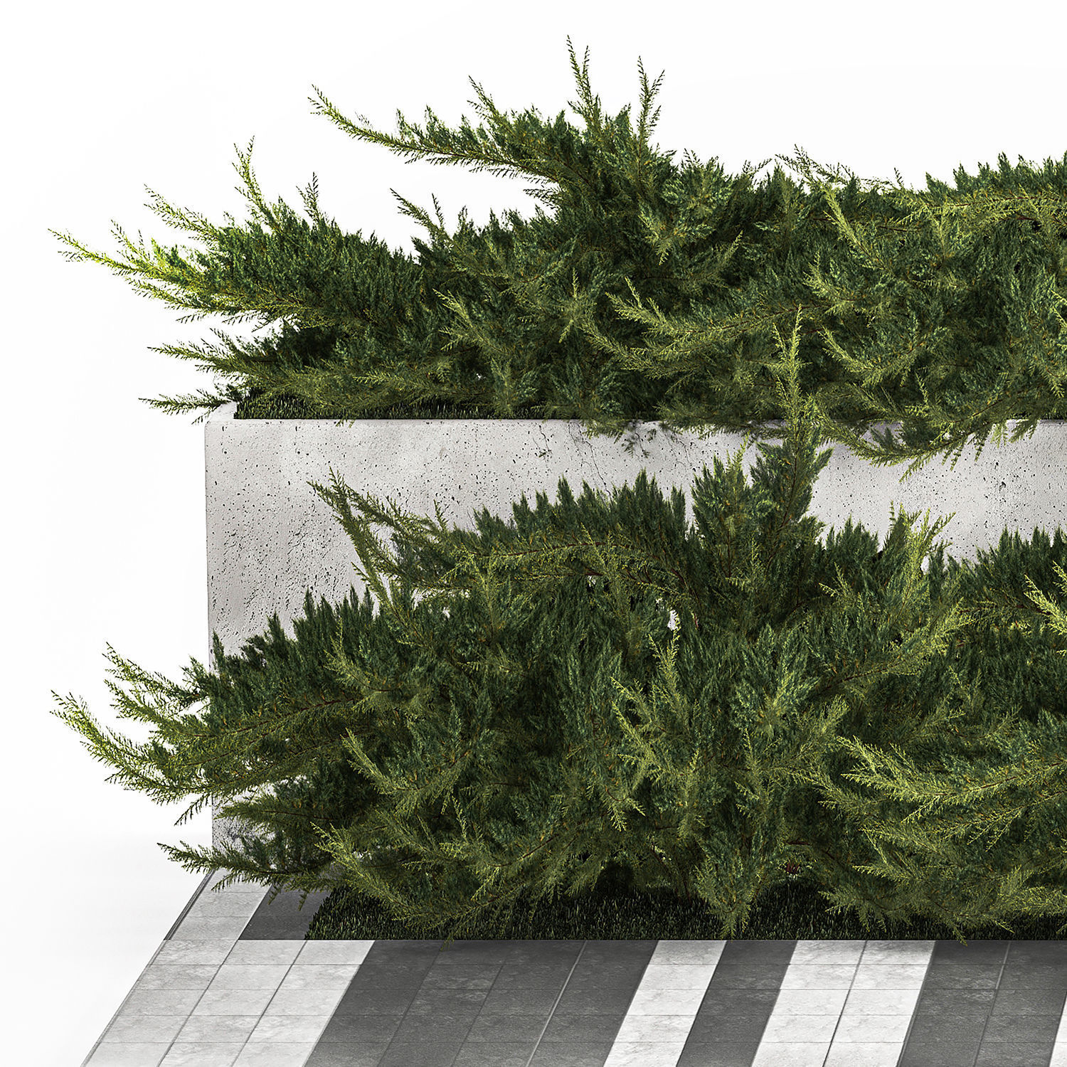 Cypress And Juniper With A Bench For An Park 1167 3D model_6