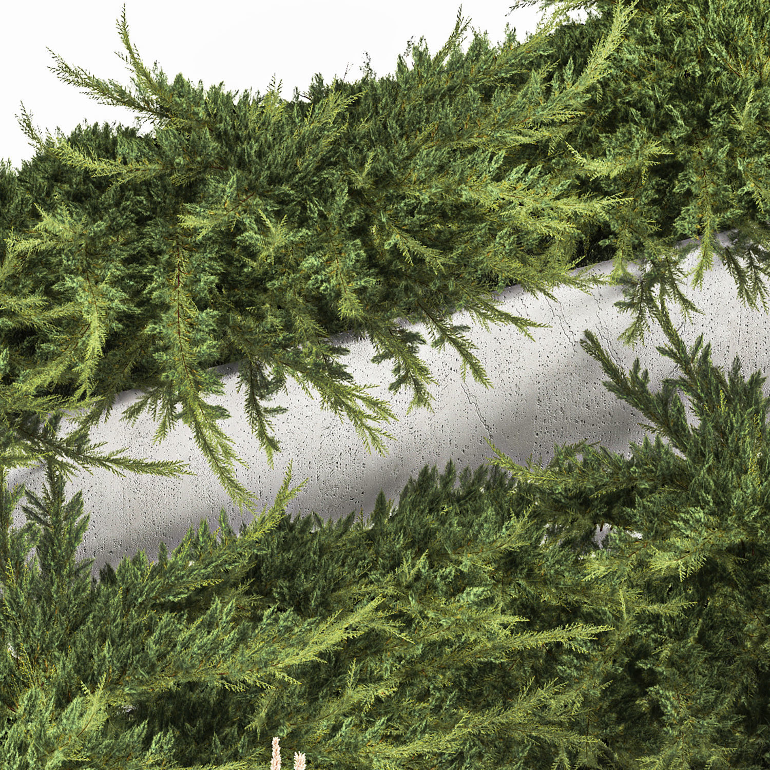 Cypress And Juniper With A Bench For An Park 1167 3D model_5