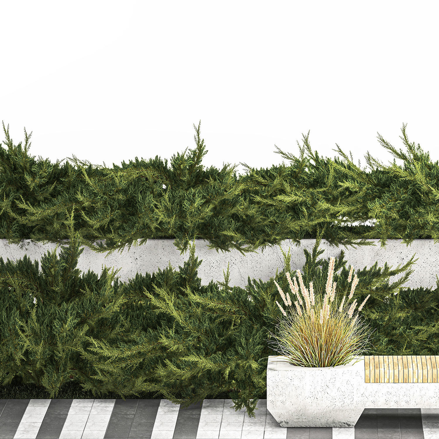 Cypress And Juniper With A Bench For An Park 1167 3D model_8