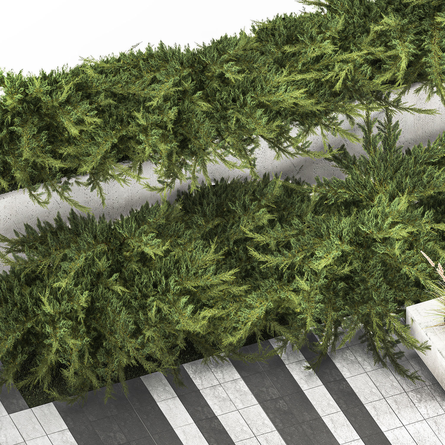 Cypress And Juniper With A Bench For An Park 1167 3D model_3