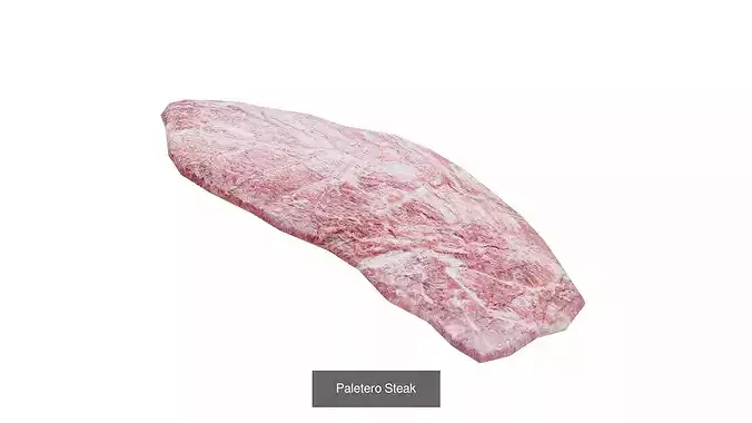 19 Cuf of meat  salmon and Chicken Pack 3d Low poly 7