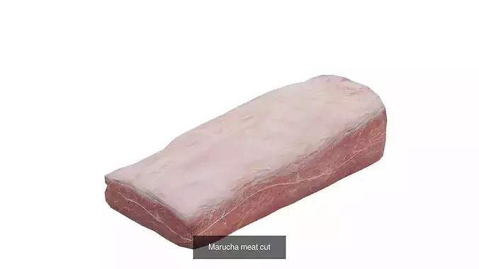 19 Cuf of meat  salmon and Chicken Pack 3d Low poly 5