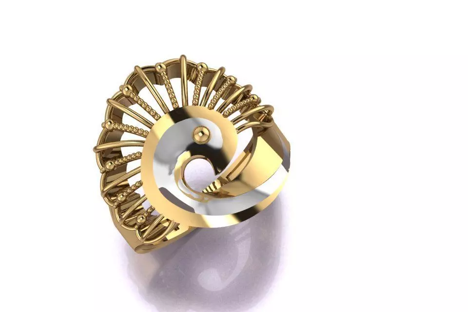 ring 20 3D print model_0