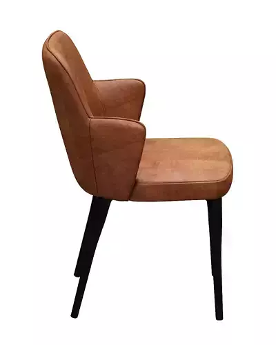 Dining chair fabric and metal