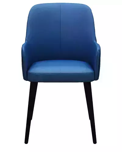 Dining chair fabric and wood