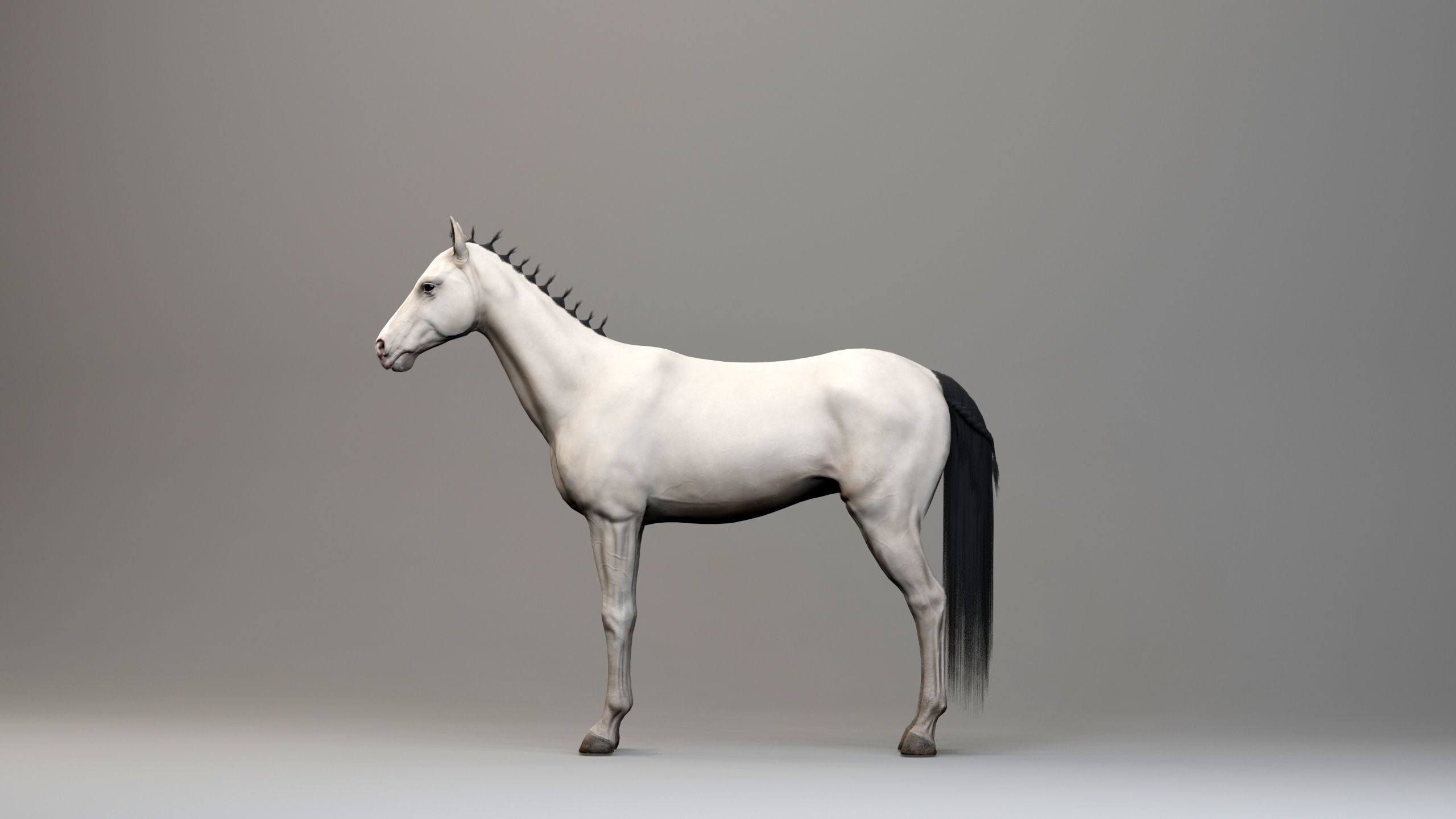 Classic Horse - Medieval Type Low-poly 3D model_8
