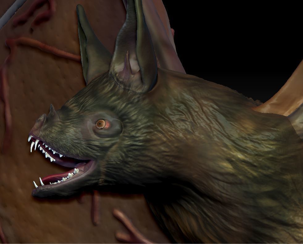 Bat vampire 3D print model_3