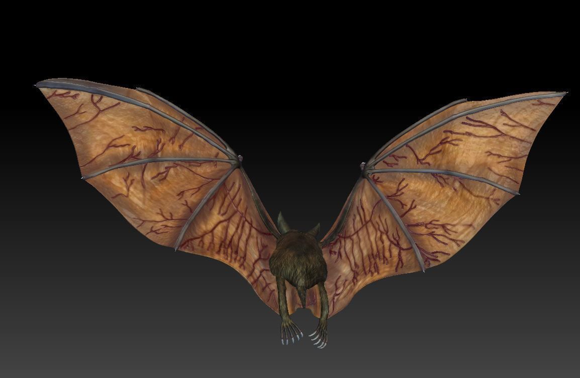 Bat vampire 3D print model_4