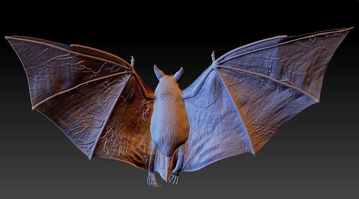 Bat vampire 3D print model_9