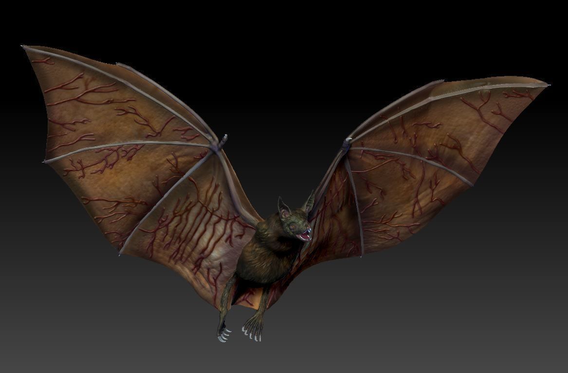 Bat vampire 3D print model_6