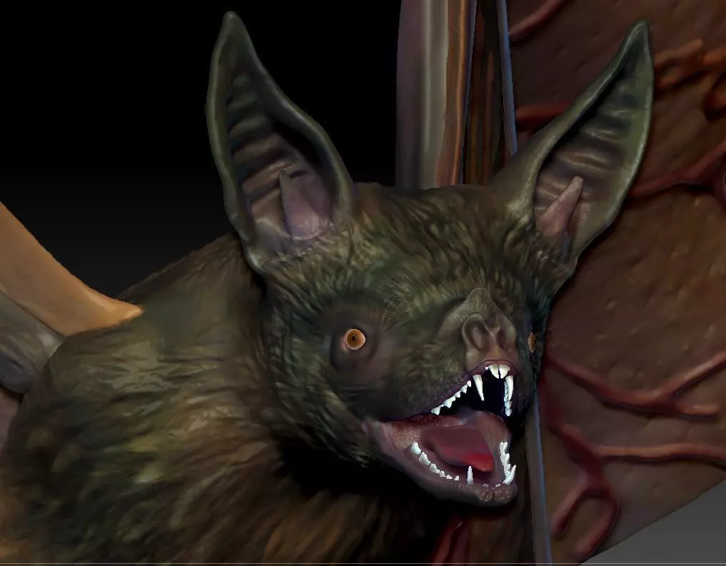 Bat vampire 3D print model_0