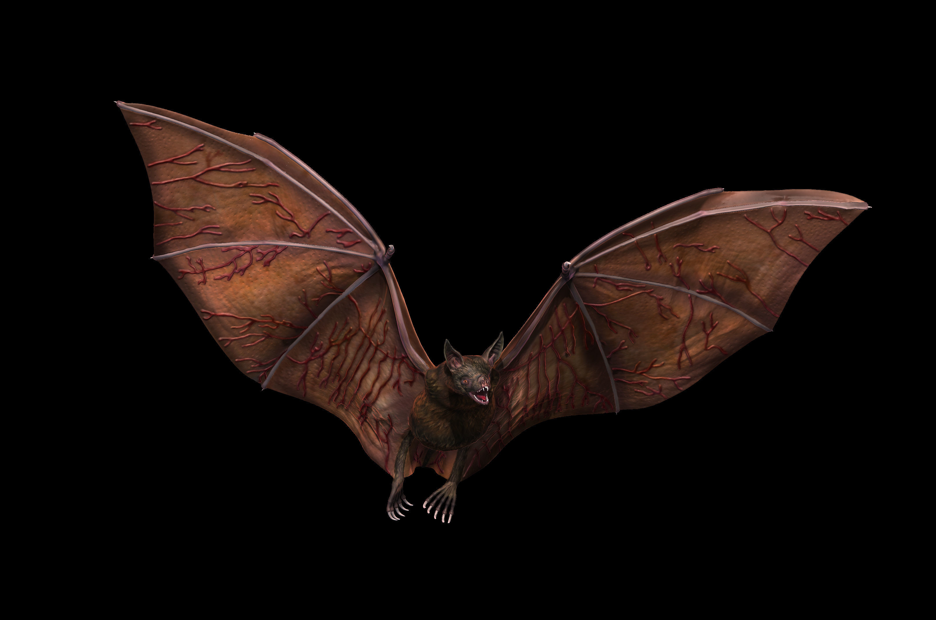 Bat vampire 3D print model_1