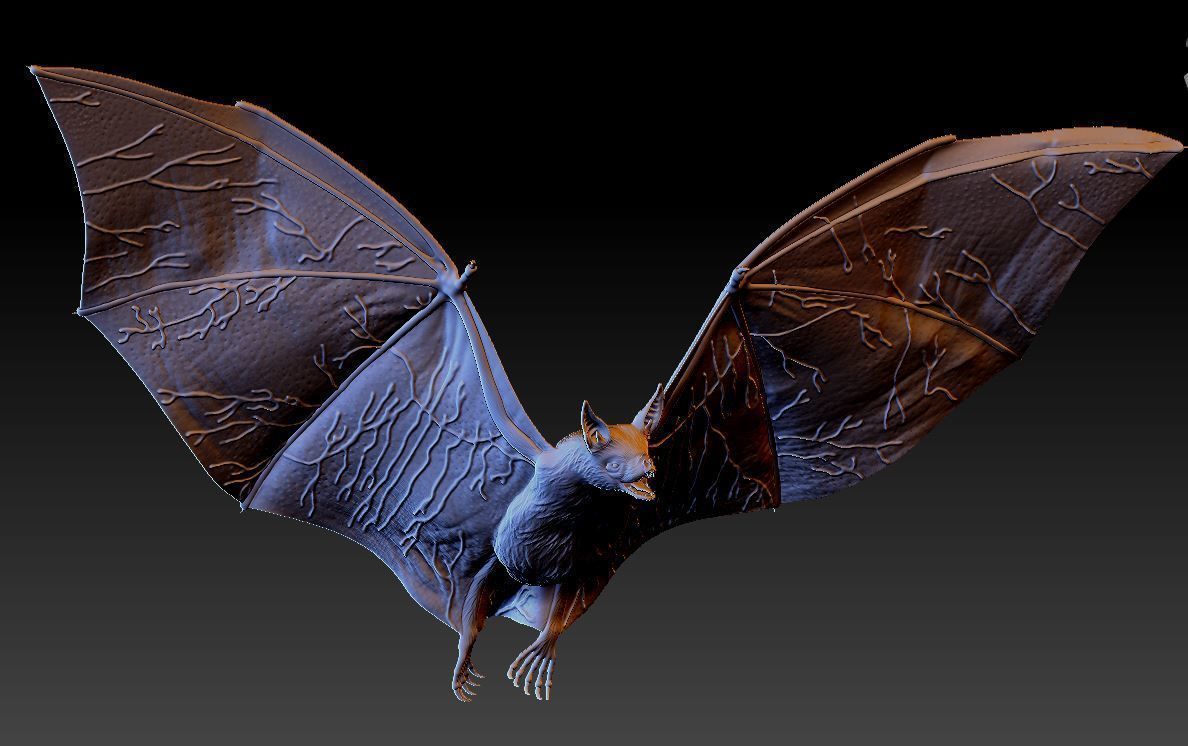 Bat vampire 3D print model_8