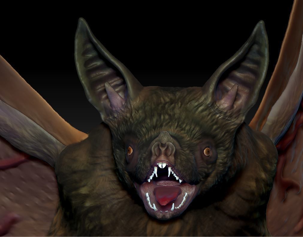 Bat vampire 3D print model_2