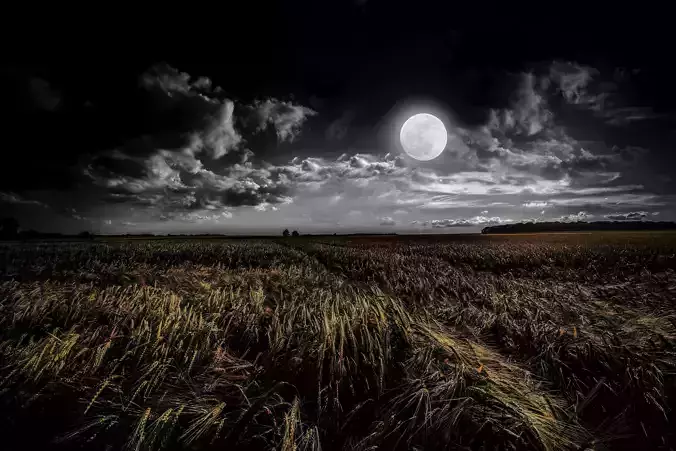0igdgfd full moon in field