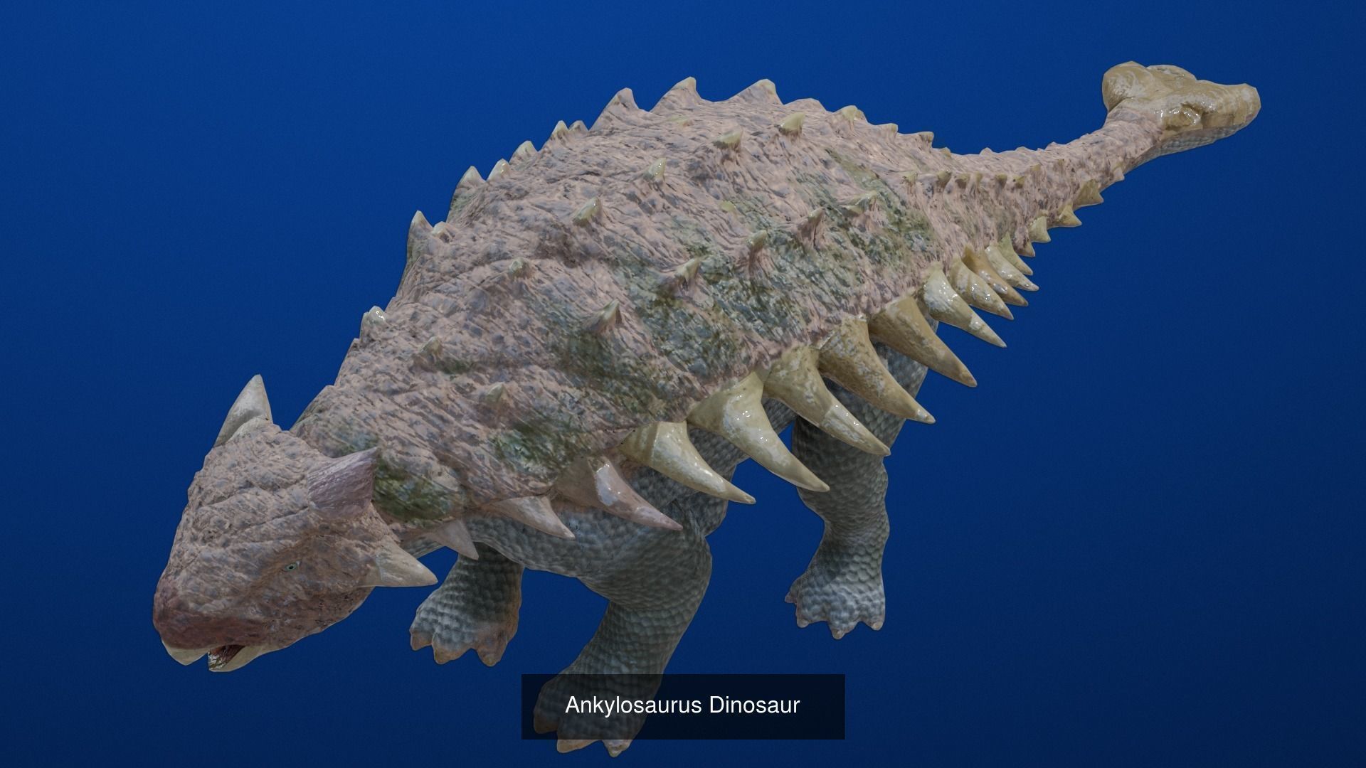 24 Dinosaur Models pack Low-Poly 3D model 3D Model Collection_16