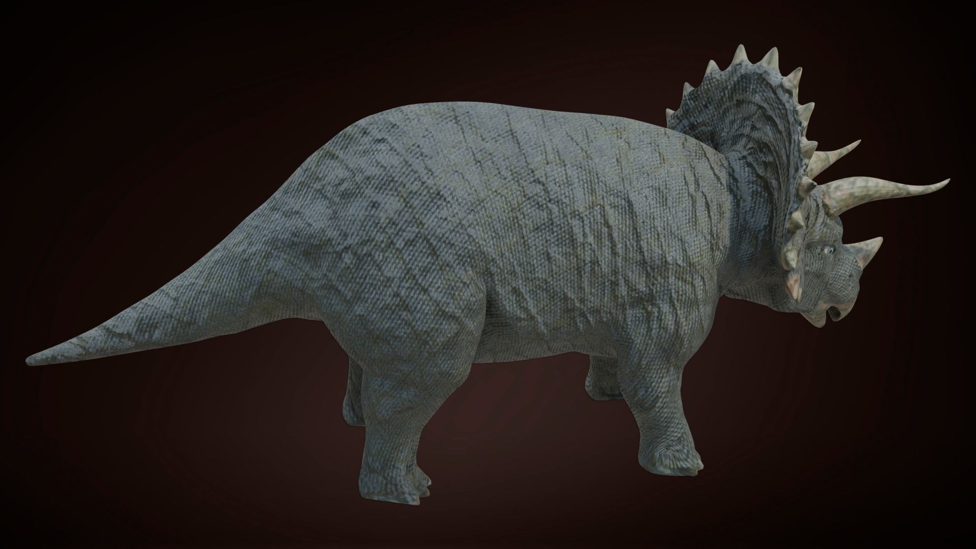 24 Dinosaur Models pack Low-Poly 3D model 3D Model Collection_54