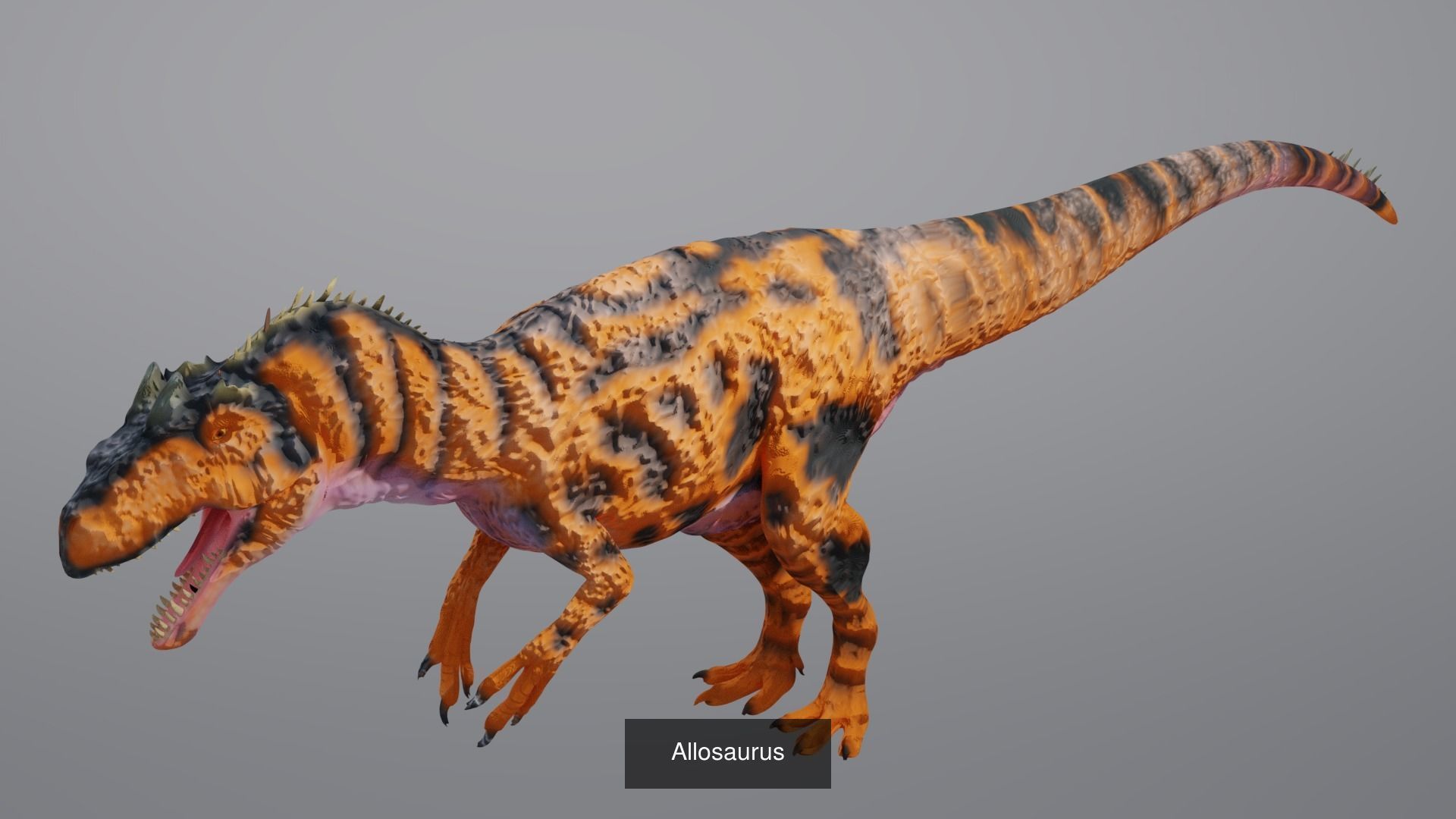 24 Dinosaur Models pack Low-Poly 3D model 3D Model Collection_1