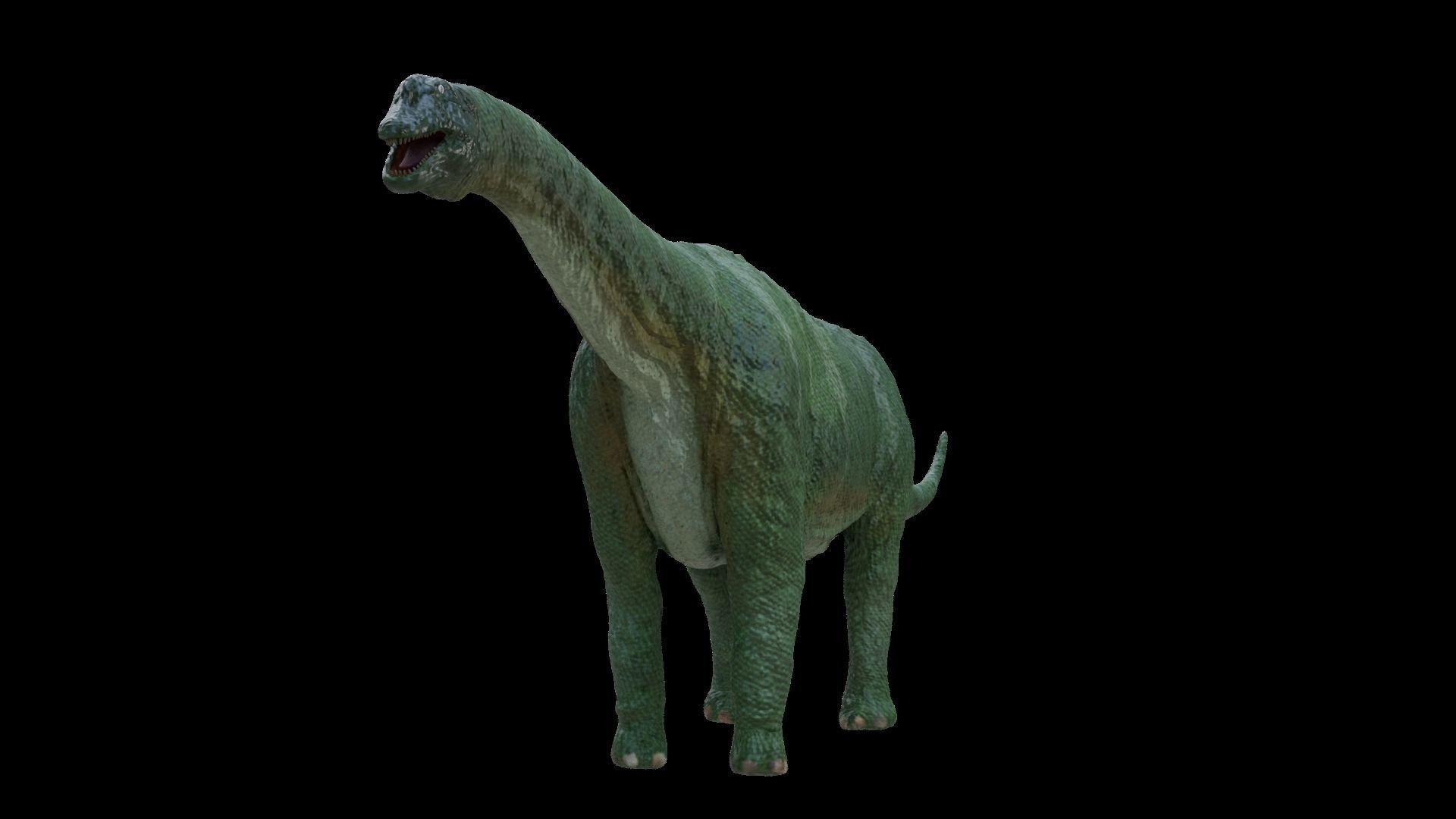 24 Dinosaur Models pack Low-Poly 3D model 3D Model Collection_62