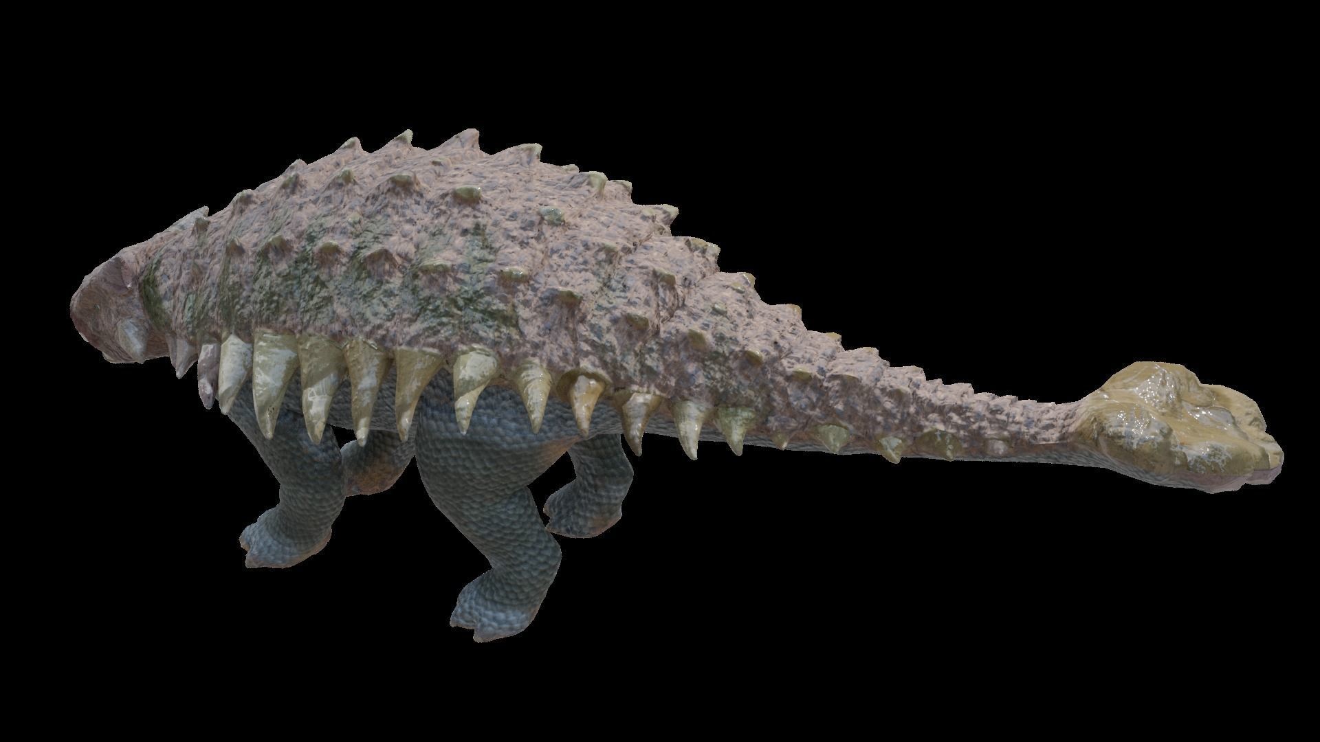 24 Dinosaur Models pack Low-Poly 3D model 3D Model Collection_61