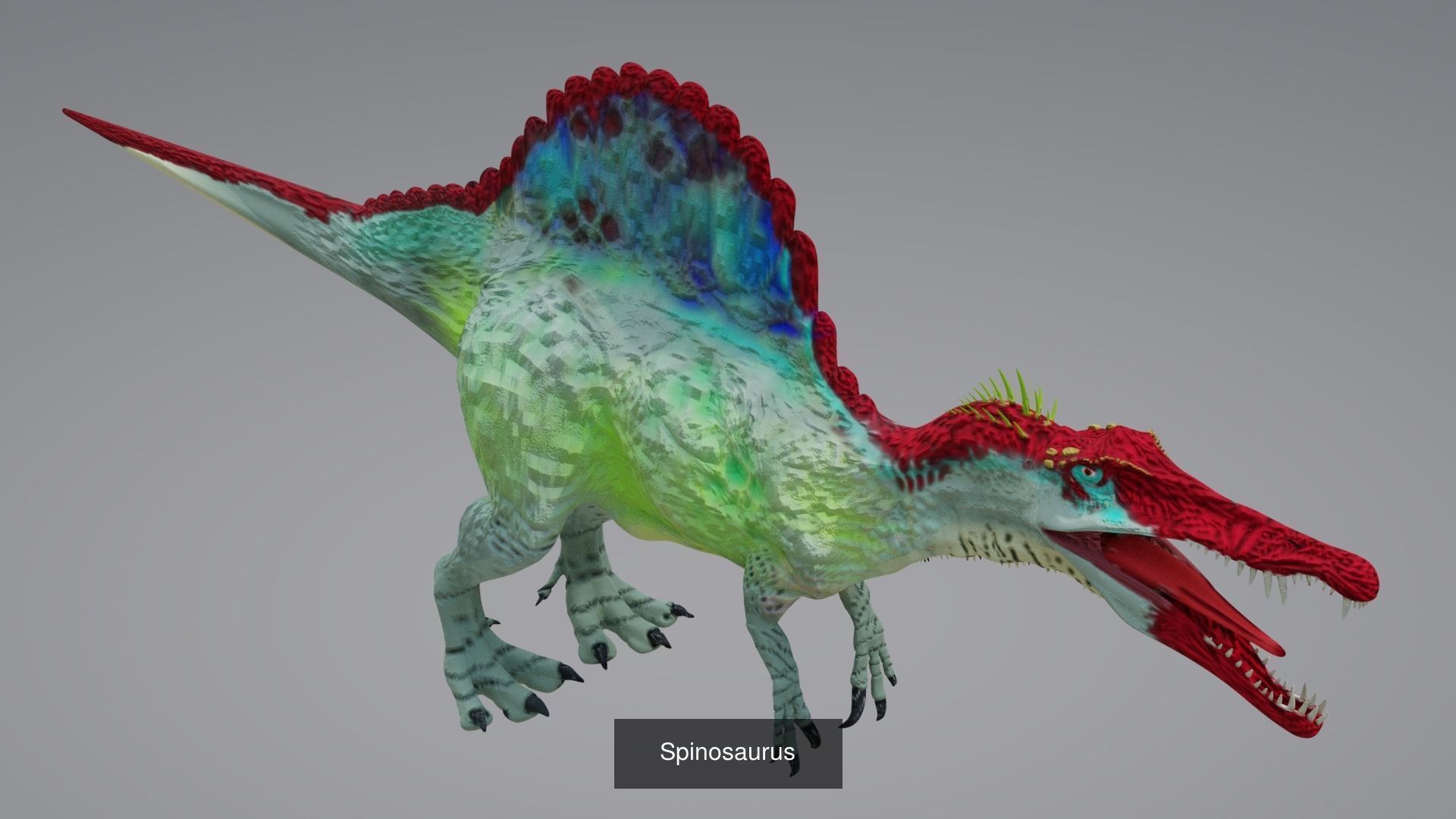 24 Dinosaur Models pack Low-Poly 3D model 3D Model Collection_7
