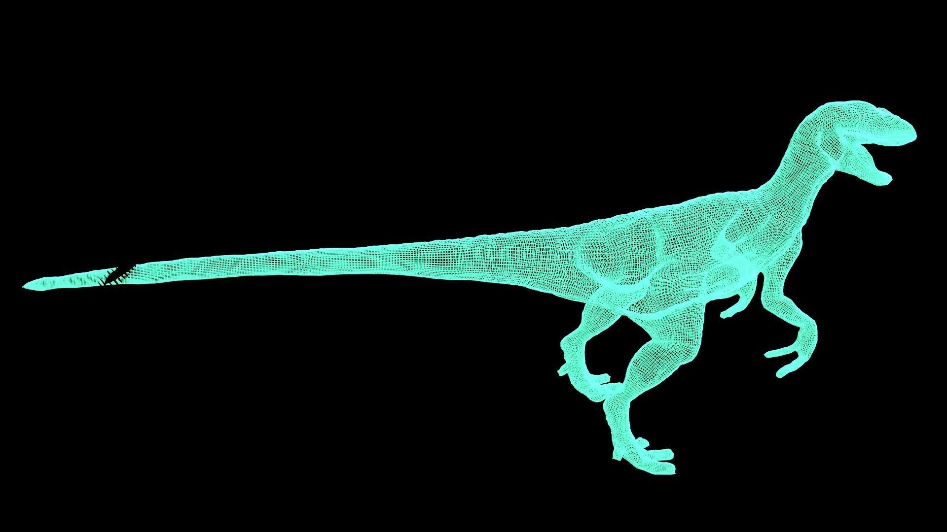 24 Dinosaur Models pack Low-Poly 3D model 3D Model Collection_58