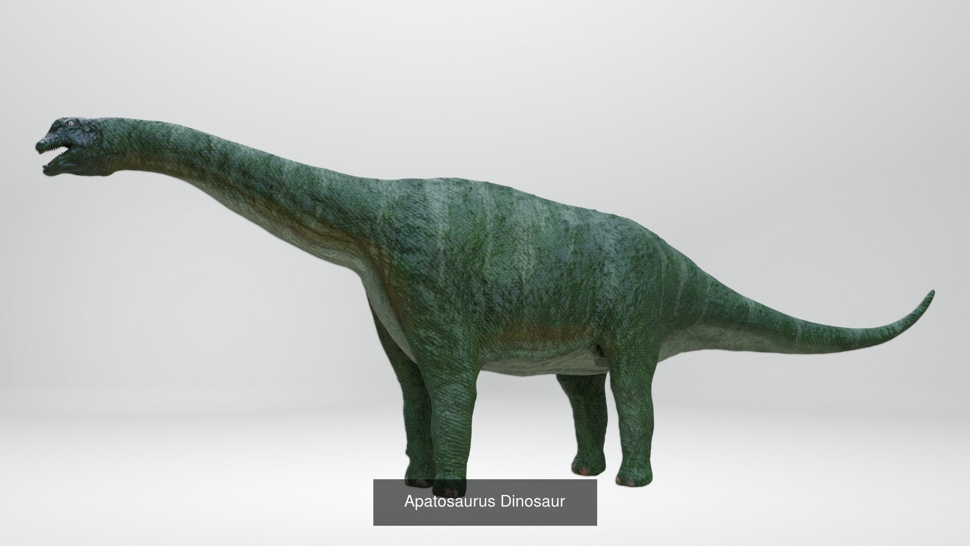 24 Dinosaur Models pack Low-Poly 3D model 3D Model Collection_12