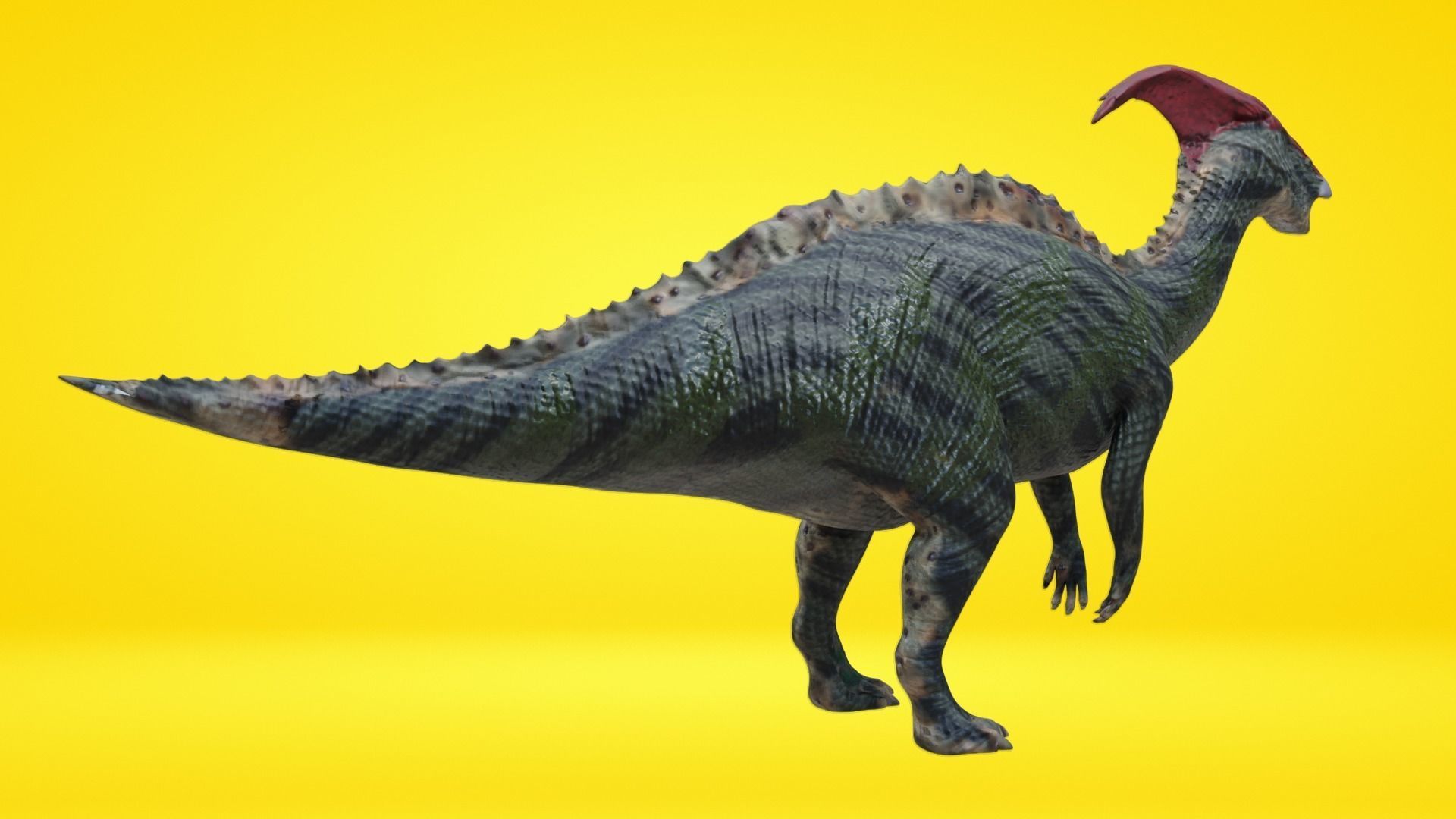 24 Dinosaur Models pack Low-Poly 3D model 3D Model Collection_45