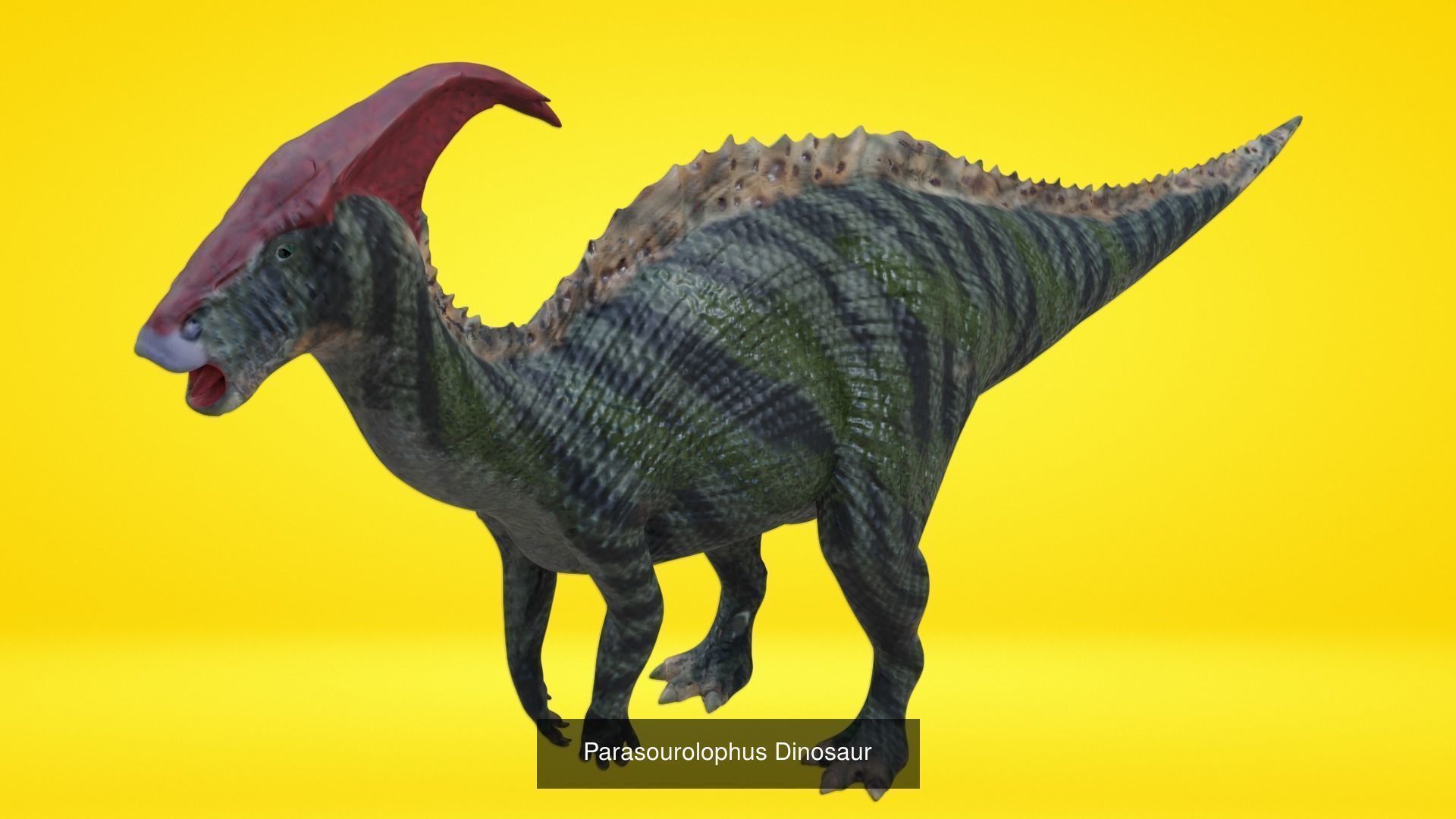 24 Dinosaur Models pack Low-Poly 3D model 3D Model Collection_21