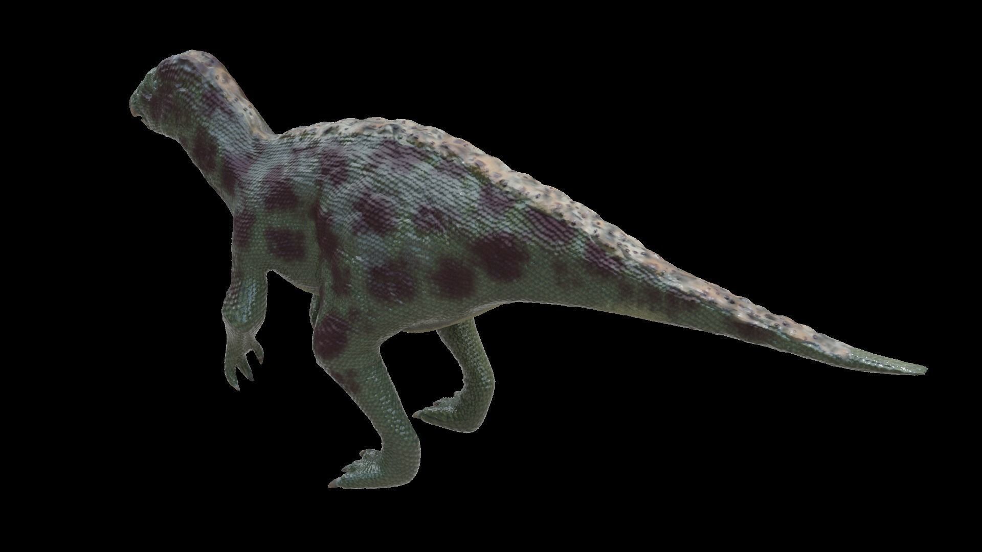 24 Dinosaur Models pack Low-Poly 3D model 3D Model Collection_65