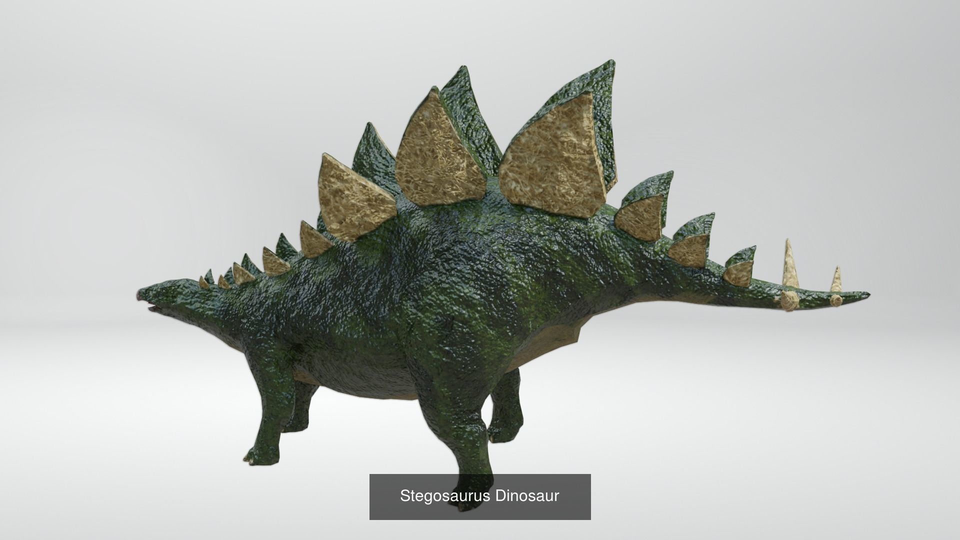 24 Dinosaur Models pack Low-Poly 3D model 3D Model Collection_18