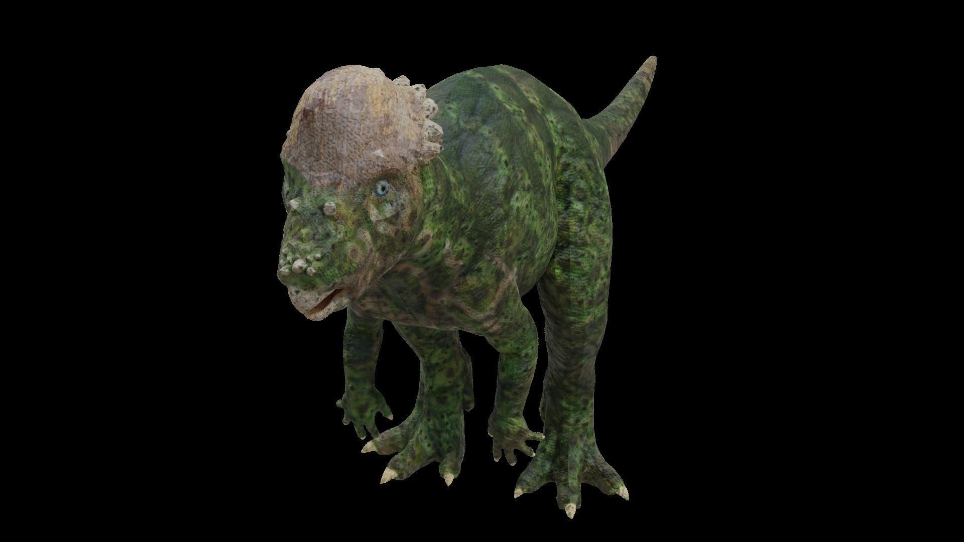 24 Dinosaur Models pack Low-Poly 3D model 3D Model Collection_69