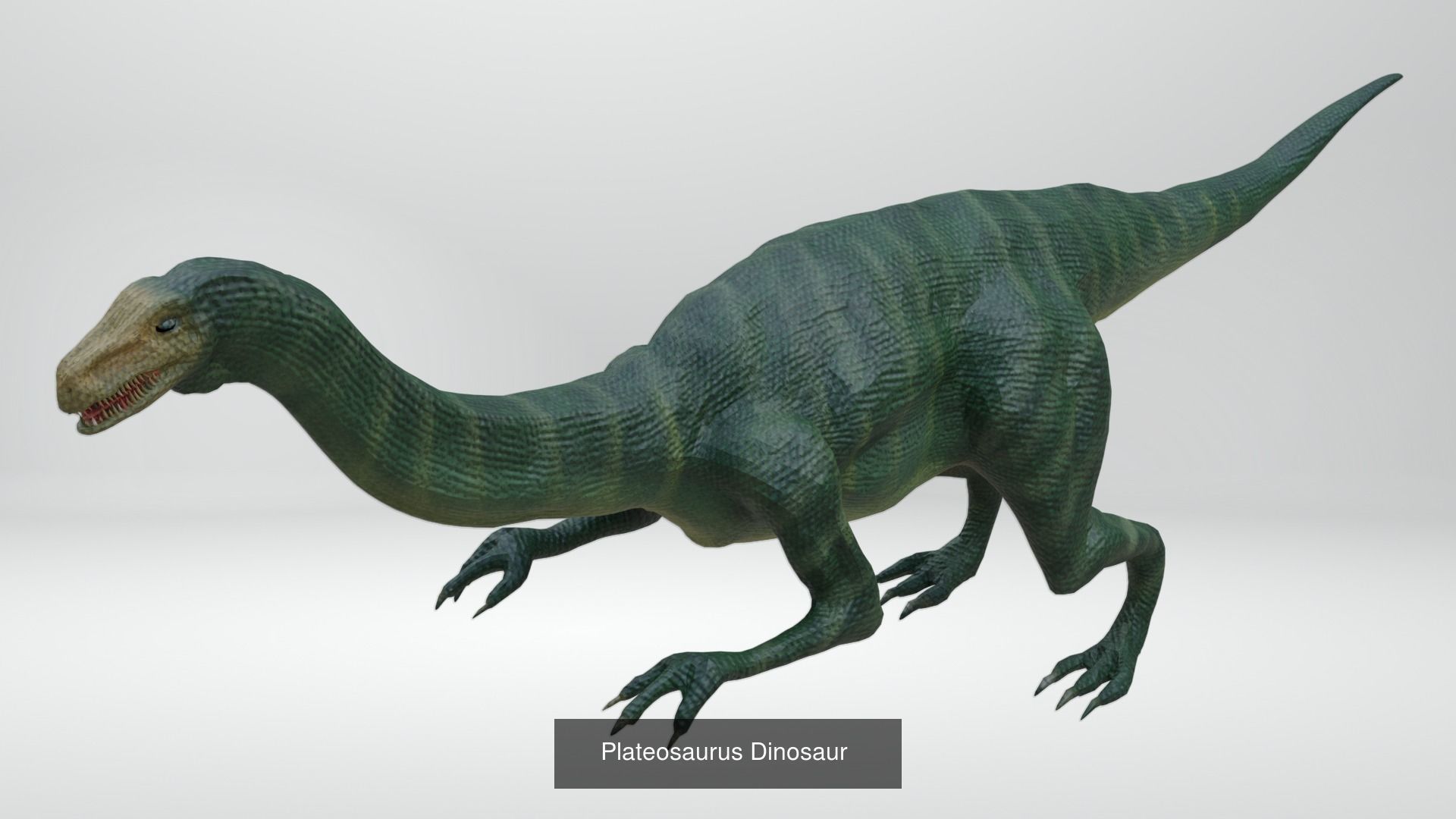 24 Dinosaur Models pack Low-Poly 3D model 3D Model Collection_10