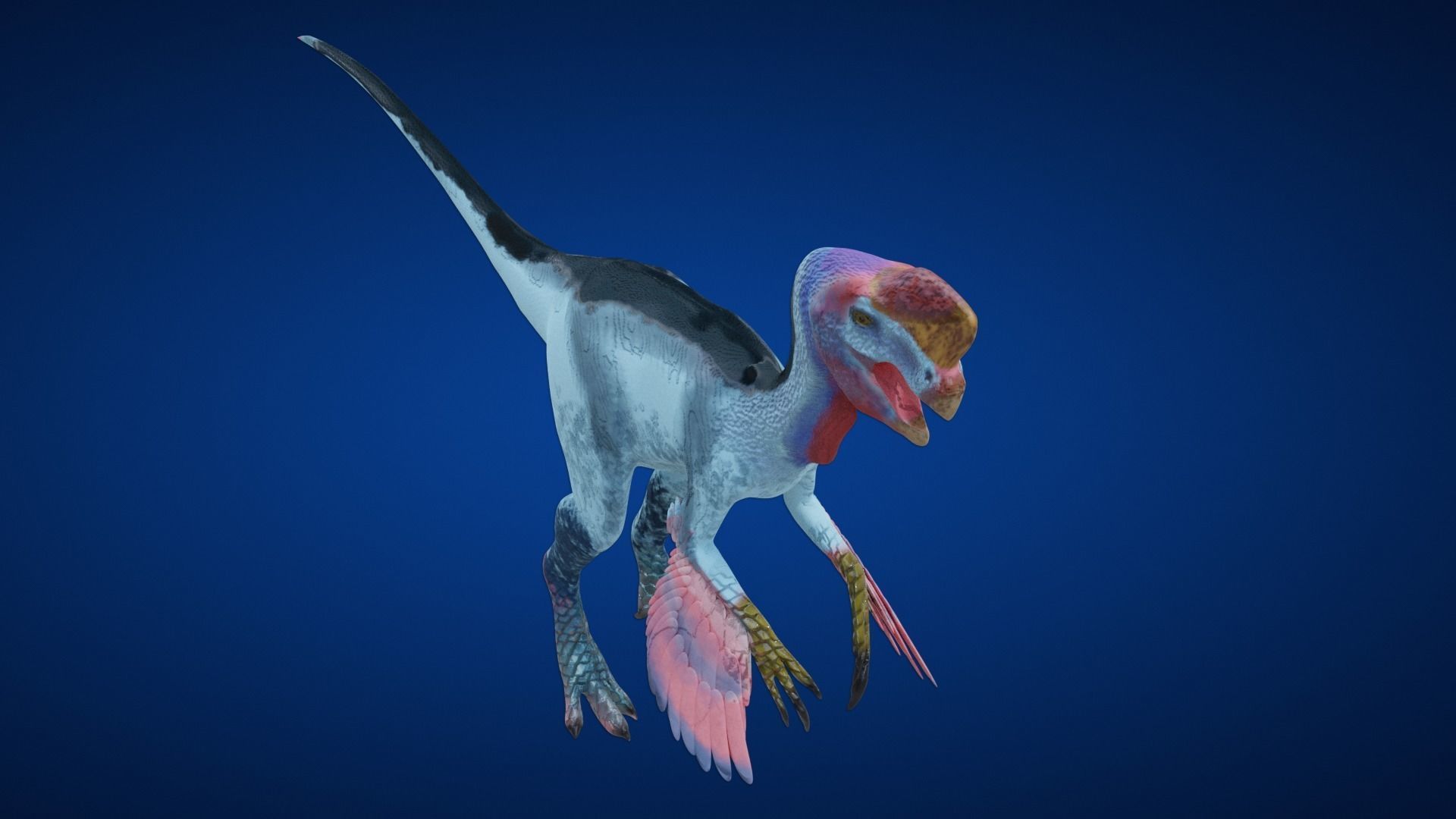 24 Dinosaur Models pack Low-Poly 3D model 3D Model Collection_40