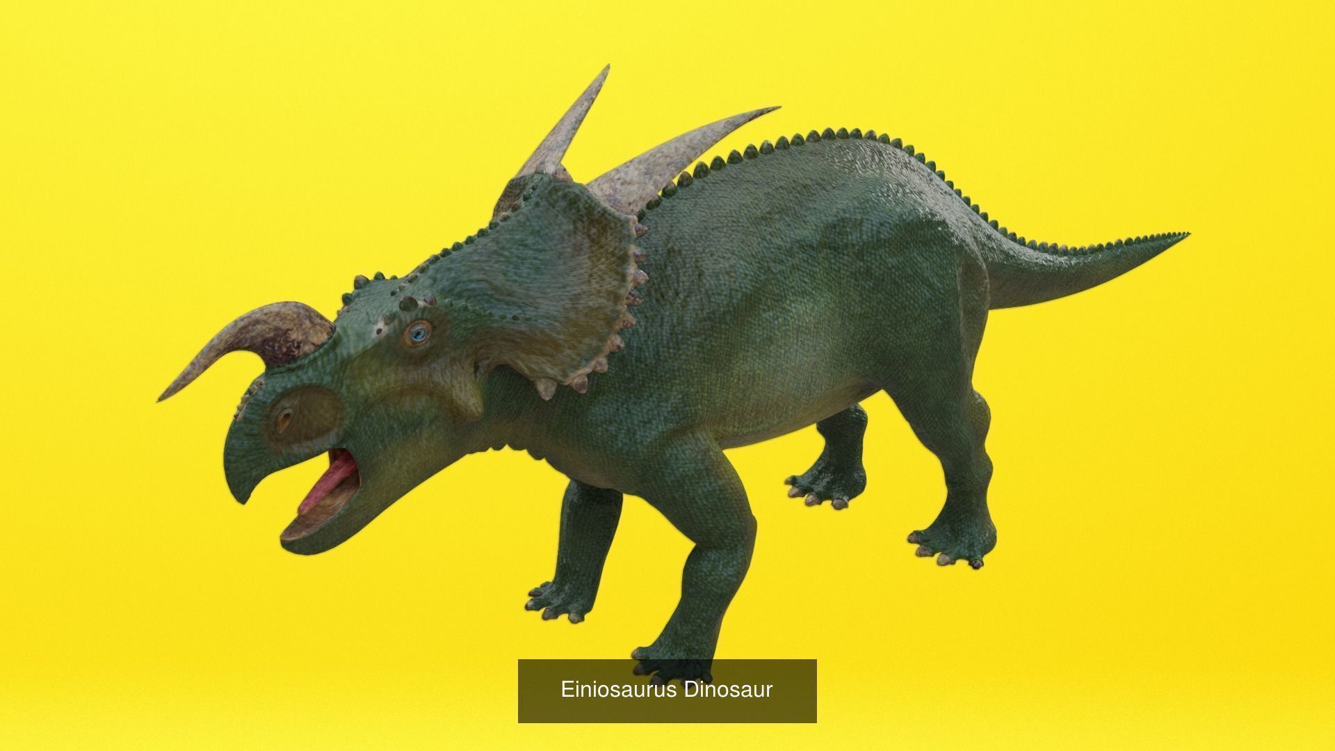 24 Dinosaur Models pack Low-Poly 3D model 3D Model Collection_23