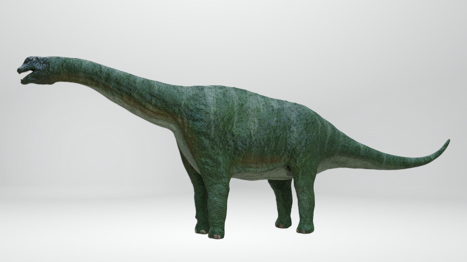 24 Dinosaur Models pack Low-Poly 3D model 3D Model Collection_28